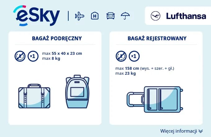 Lufthansa bagaż rejestrowany - co można zabrać i jakie są limity